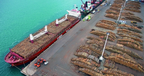 Ship carrying logs at Northport (Photo: Northport). 