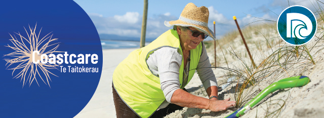 CoastCare eNews banner - lady dune planting.