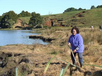 Lake Ōmāpere.