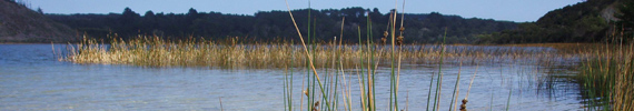 Lake Kai Iwi.