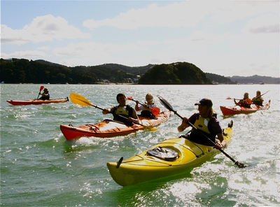 Group of people kayaking.