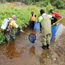 New $20k fund for tāngata whenua environmental monitoring