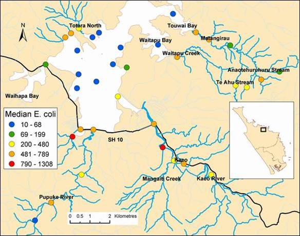 Median E. coli (n/100mL) results at Whangaroa Harbour study sites.