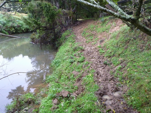 Bare soil and muddy track created by cattle movement alongside the water.