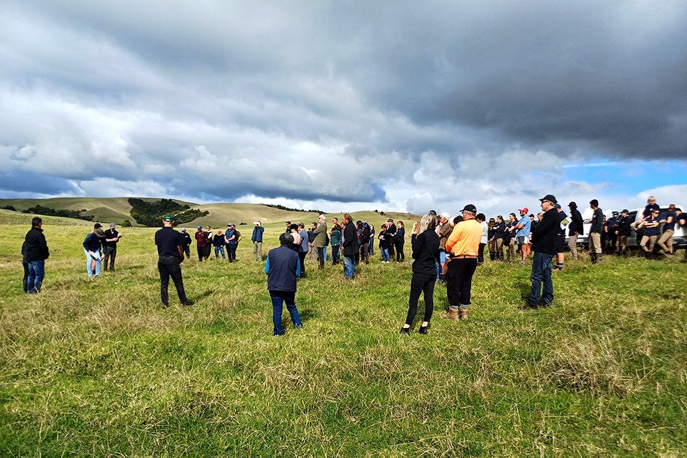 Group of people on farmland.