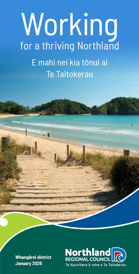 Beach and boardwalk in the Whangārei district.