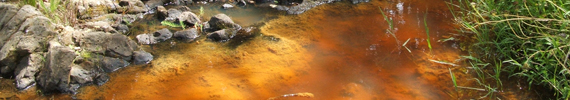 Iron-oxide in water.