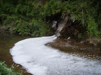 Detergent from a stormwater pipe discharging to the Waiarohia Stream. 