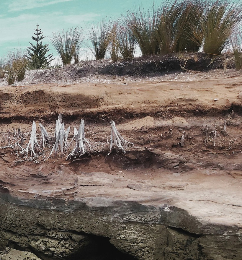 Coastal Ersion 1 2