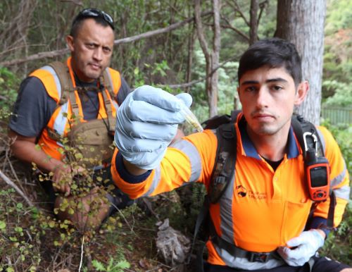 Two men in a forest. One is holding a sample of deer droppings.