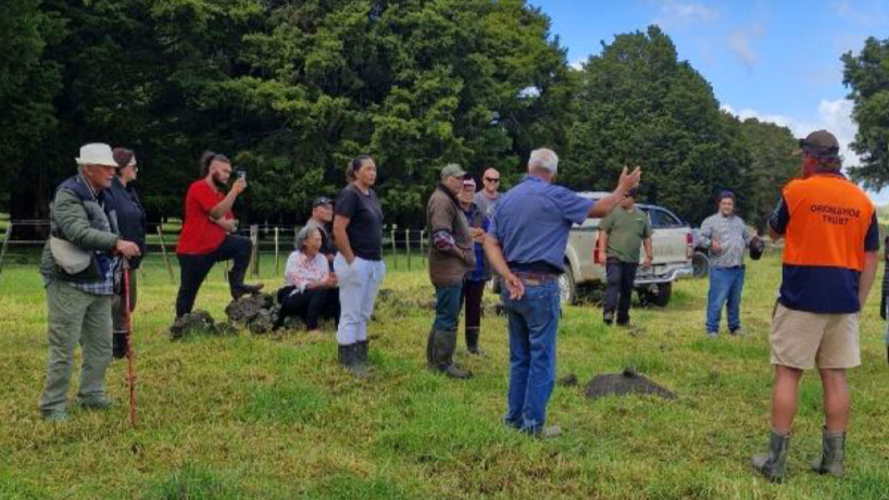 People in a paddock.
