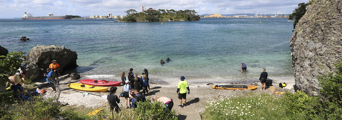 People with kayaks and snorkelling.