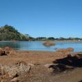 Our estuaries