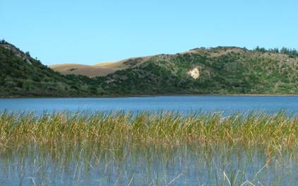 Kai Iwi Lakes.