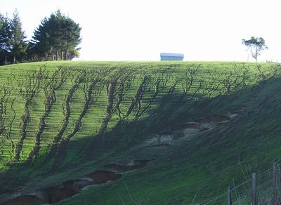 Fluvial erosion.