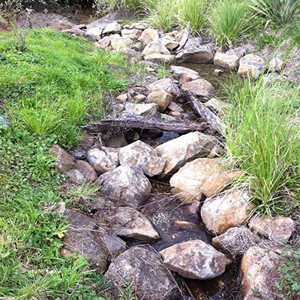 Dragonfly Springs Fish Pass 2 (400) (S)