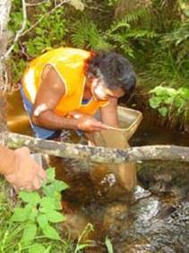 Man taking water sample to carry out freshwater macroinvertebrate monitoring.