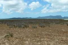 A photo of a herbfield in Whangarei Harbour.