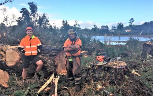 Two men standing be tree stumps.