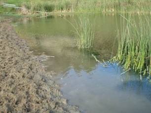 Lake showing damage by stock.