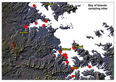 Map of Bay of Islands sampling sites.