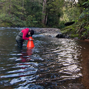 Periphyton Monitoring Baseline State