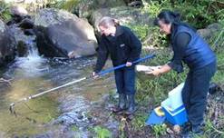 NRC staff taking water samples to carry out water quality tests.