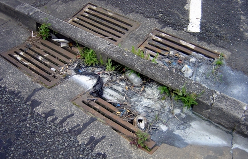 Rubbish washed into stormwater drains.