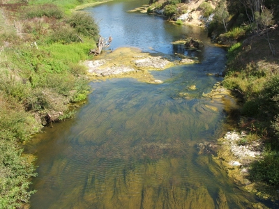 Drought flows in the Wairua River.