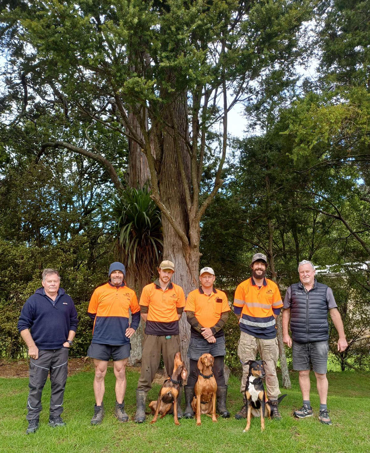 Six men stand in front of a tall tree with three dogs sitting in front of them.