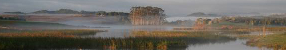 Lake Owhareiti at dawn.