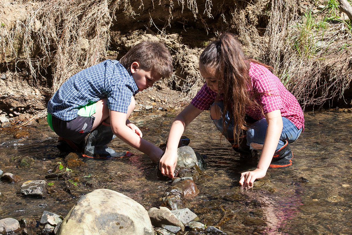 Children playing in a stream.