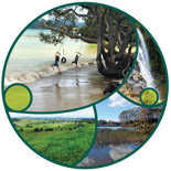 Collage of environment images.