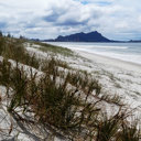 Protecting the treasure that’s our sand dunes