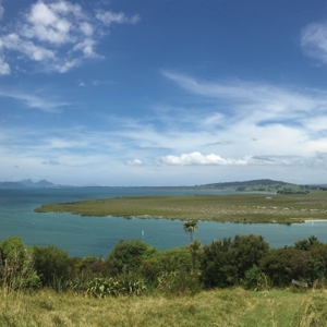Harbour Views From Matakohe (Limestone) Island (400)