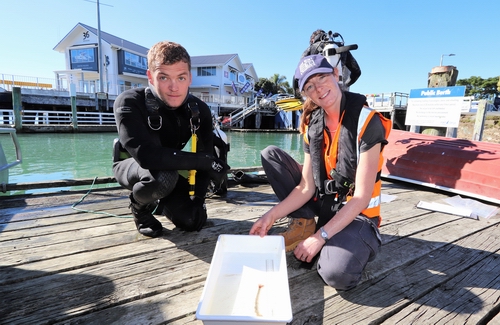 Two people with Mediterranean fanworm.