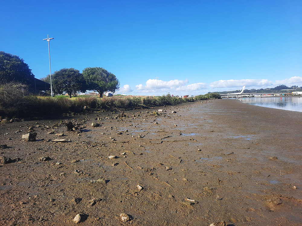 Hātea River litter monitoring site.