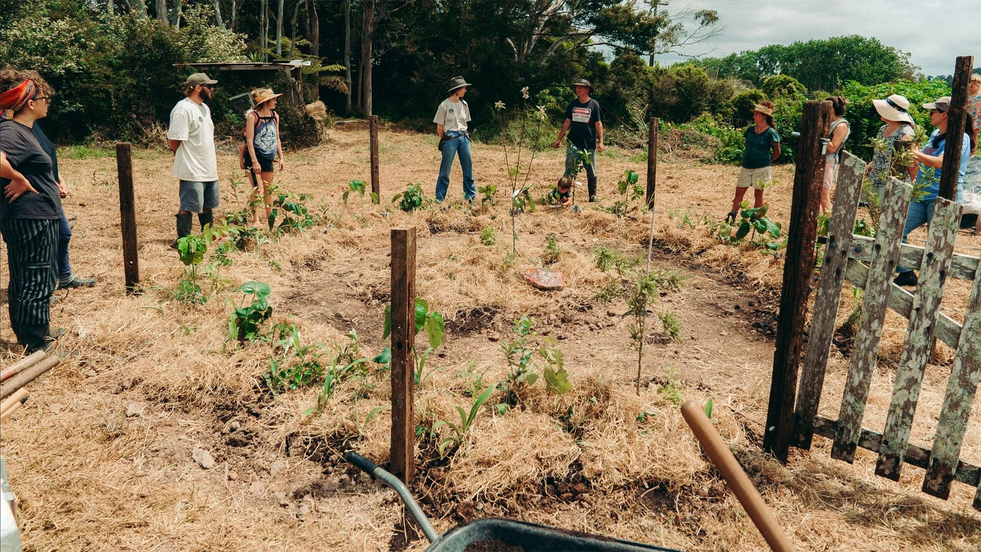 People stand in semi-circle around planted trees.