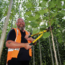 Changes to NRC’s popular poplar, willow pole scheme