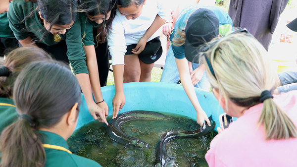 Hands on tuna in pool