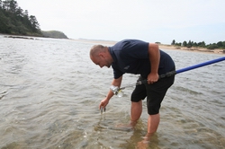 Sampling Whananaki North.