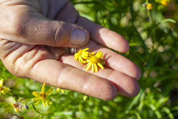 WB MG 2232 250623 RESIZE NEEDED