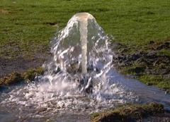 Flowing artesian bore.