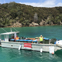 Rubbish barge back for boaties in Bay of Islands