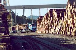 Logging truck next to a large stack of logs.