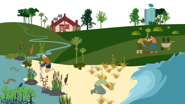 Te Taiao Nature Based Resilience V3