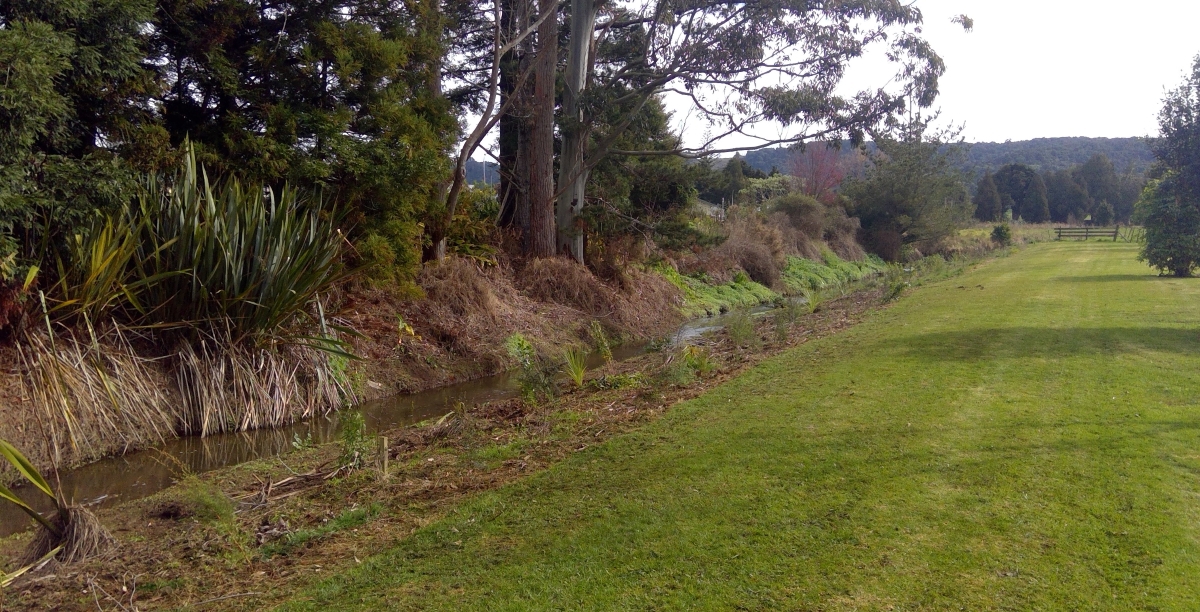 Riparian planting.