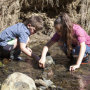 Feedback sought on new draft rules for healthier waterways