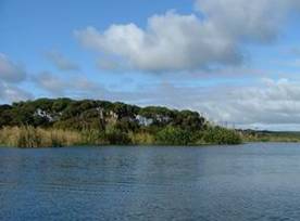 Photo of Lake Omapere.