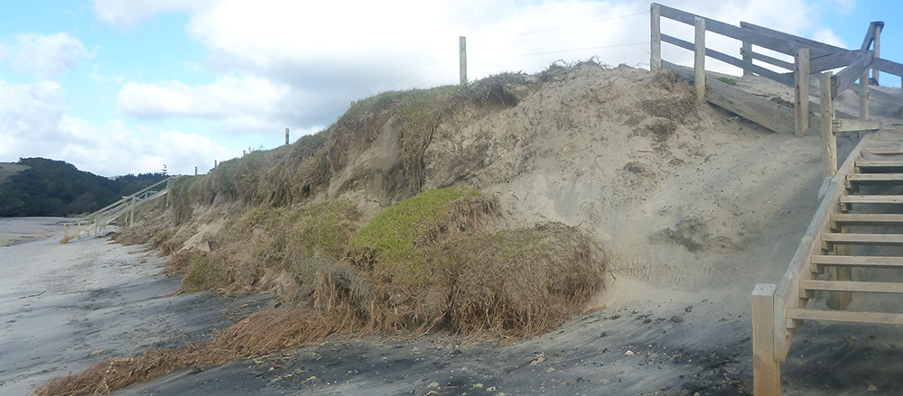 Waipu Cove after storm erosion.